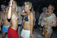 /album/foto%c4%9fraflar%3a-anasayfa/a167660-kemerde-kopuk-partisi-1-jpg/